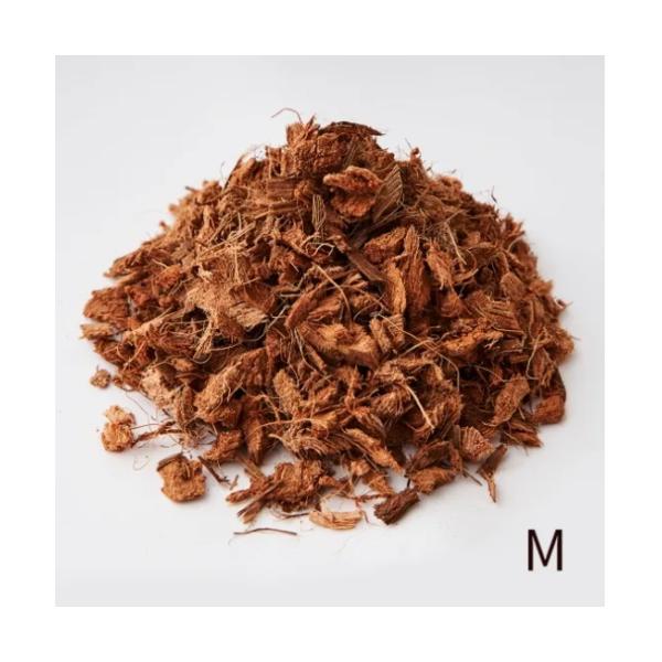 bp-s_4976568156052_1_d_20251020151718