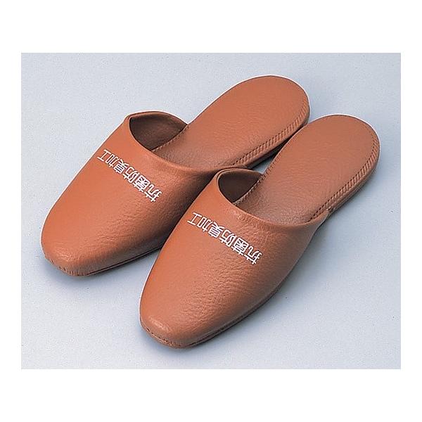 RۖhLHXbpijt[TCY S26cm@348583 {ݗpi a@i pi