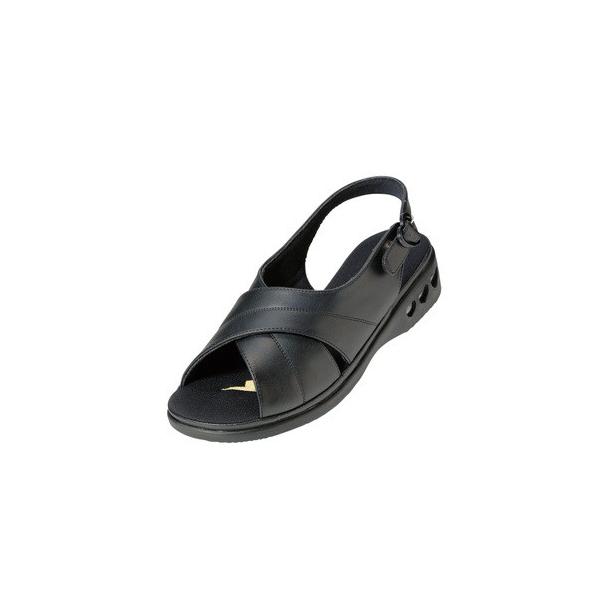 p[tFNgi[X(i[XV[Y) NXoh ubN^21.0`21.5cm@4571203960362