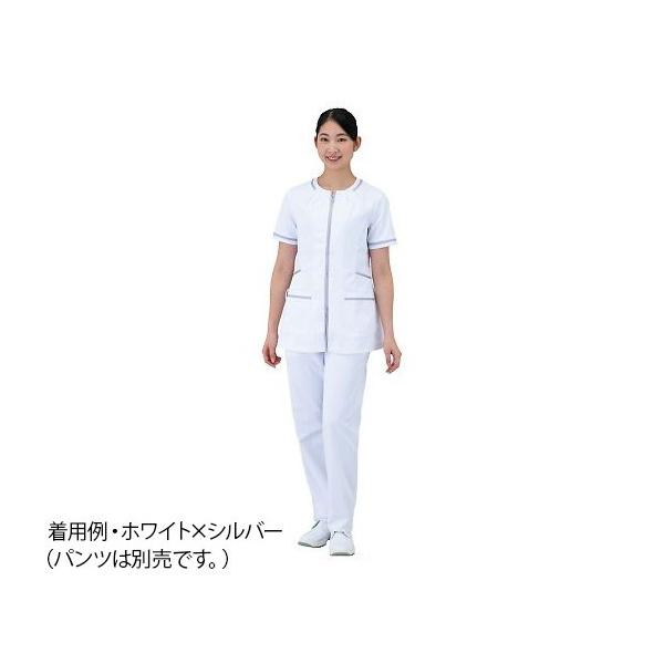 TA[@fB[XWPbg@X}[gXNuGKg@zCg×Vo[@S @780-40 S@4589827351893 ipc͕ʔj