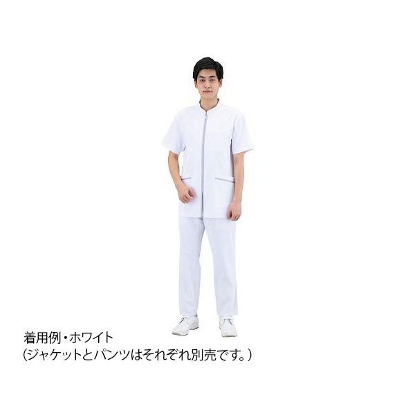 TA[@Ypc@zCg@3L @845-40 3L@4562213062474iWPbg͕ʔj