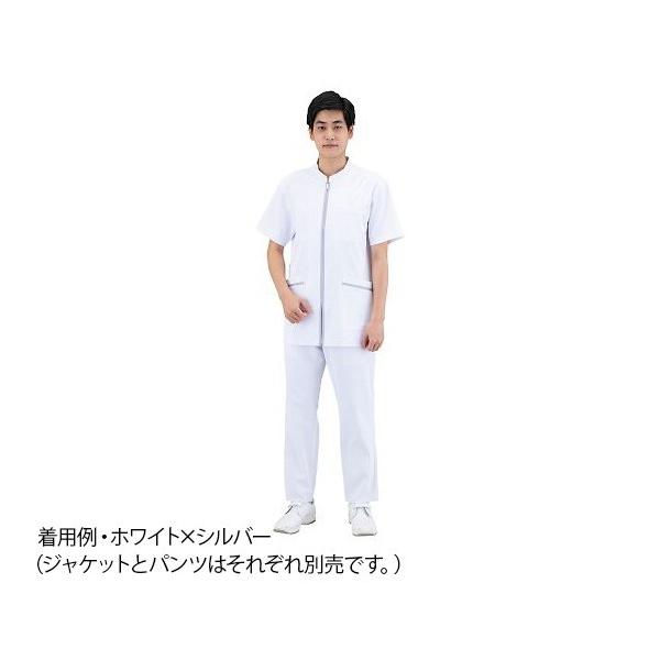 TA[@YWPbg@X}[gXNuGKg@zCg×Vo[@M @781-40 M@4589827352142 ipc͕ʔj