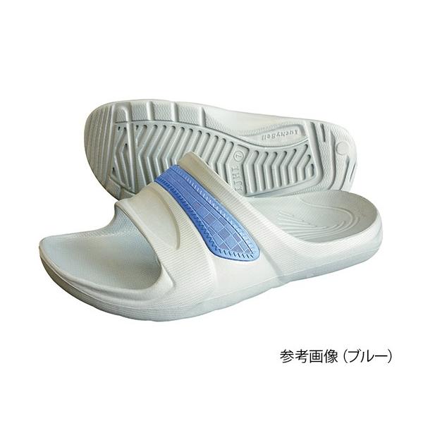 y҂T_@u[@10@27.5`28.0cm @4582200817832