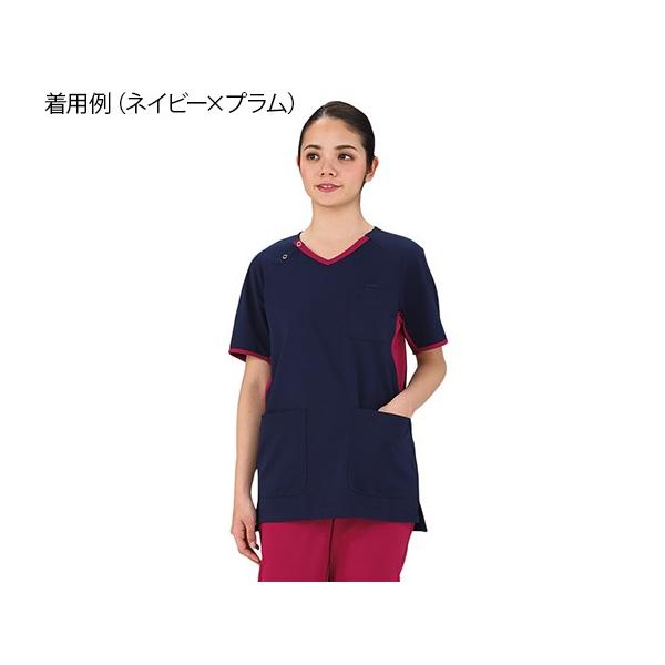 jpEْ̍fV[Y@XNu@lCr[×v@SS @4562213076860