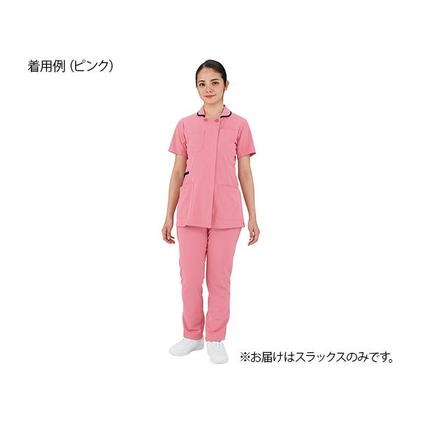 fBXXbNX@ْ̍fV[Y@sN@4L @4562213073715