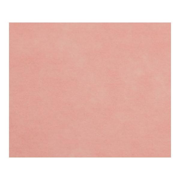 A|qށ@fBX|hJ[e@ʃt@Xi[190@sN @@4951105113323