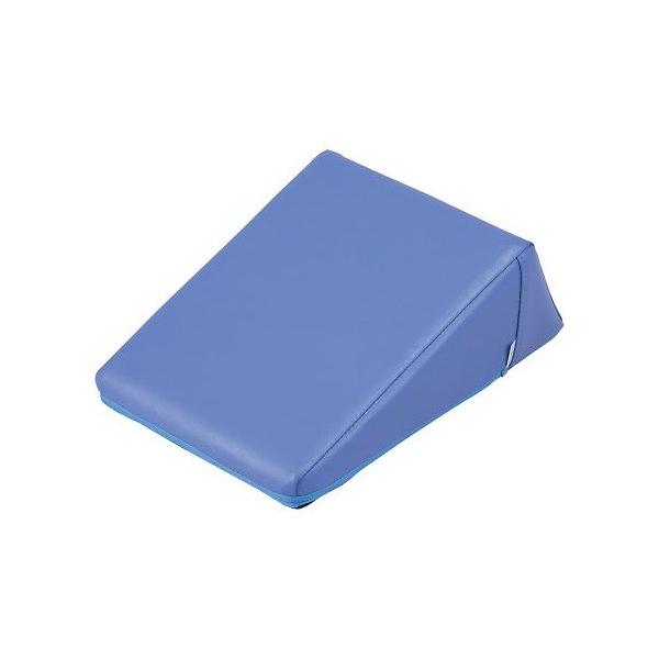 �i�r�X�i�A�Y�����j�@���˗p�܂���@���C�g�u���[ �@TIC-PB�@4589638409363