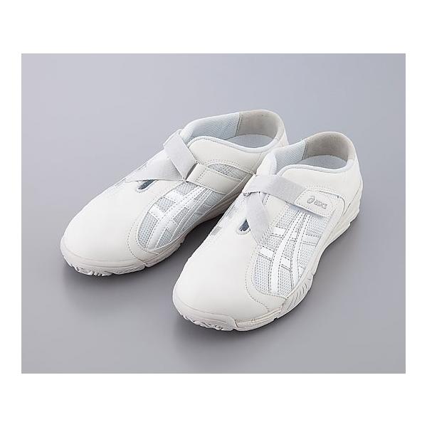 AVbNX PAEH[J[@24.0cm@4549012126620