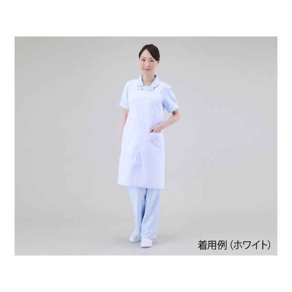 Gvijp OXbg |PbgtjMTCYg96cm TbNX 922-71 M@pi X^btEFA 4562212998613