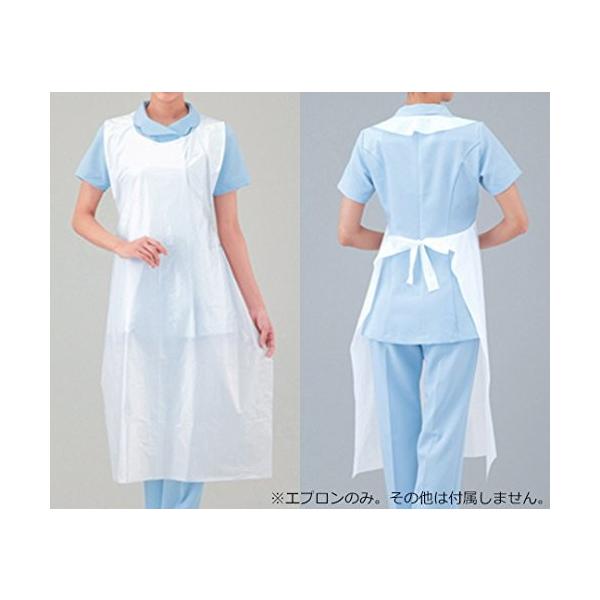 AY vVFAEK[hGv 100 WpbN@4560111723350