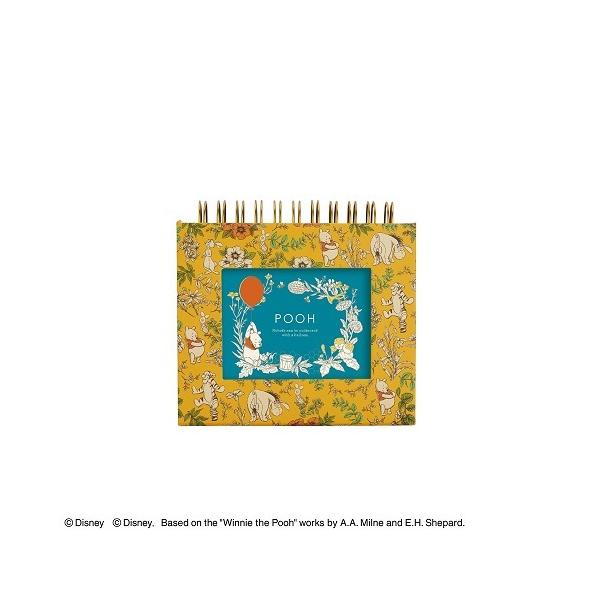 iJoV Nakabayashi@tHgN@t[P[Xk@܂̃v[@A-FTPC-206-2