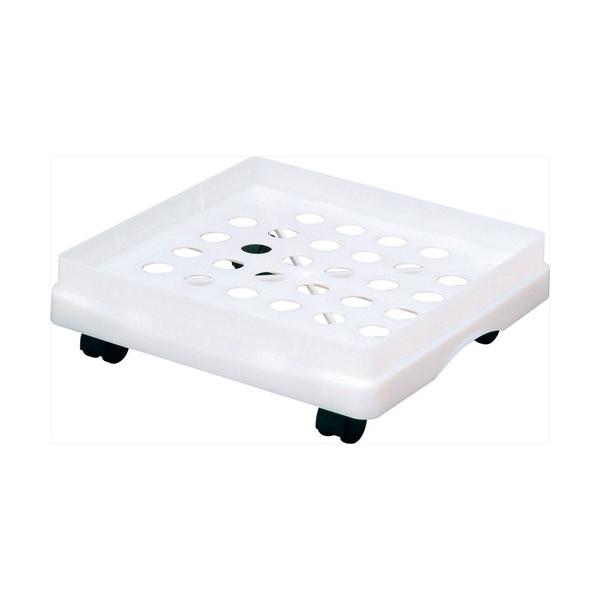 iJoV@LpeBdvS^dvTpx|X^zCg@CEB-01-NW