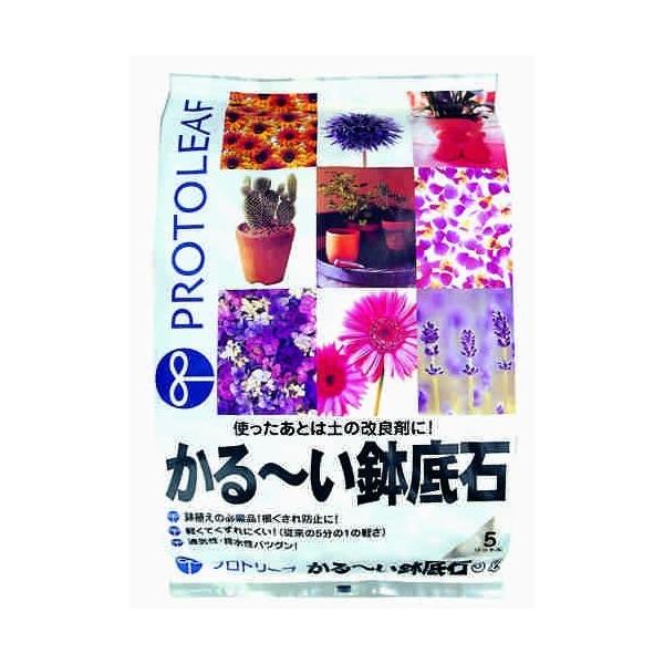 ゴムの木 フィカス の植え替え方法 失敗しないためのコツをプロが解説 適した時期や用土の入れ方も 農業 ガーデニング 園芸 家庭菜園マガジン Agri Pick