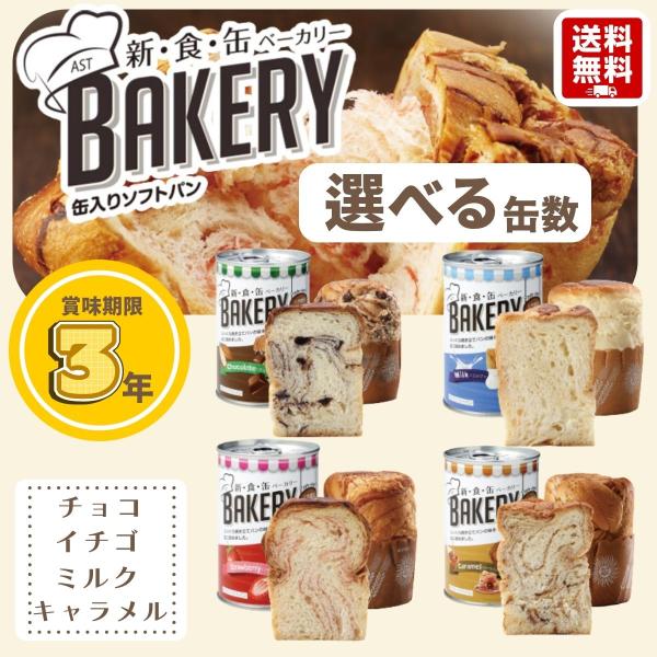 非常食 新食缶ベーカリー 各1缶セット（4缶） 防災パン 長期保存パン 3年保存 缶詰 缶詰パン パン缶 チョコ いちご ミルク キャラメル