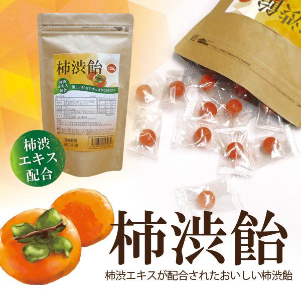 Sale ネコポスのみ送料無料 一部地域除く 柿渋飴 約125g入り 柿渋 の柿タンニンを配合 柿渋 あめ 柿渋食品 Brk125 Brain 天晴天国 通販 Yahoo ショッピング