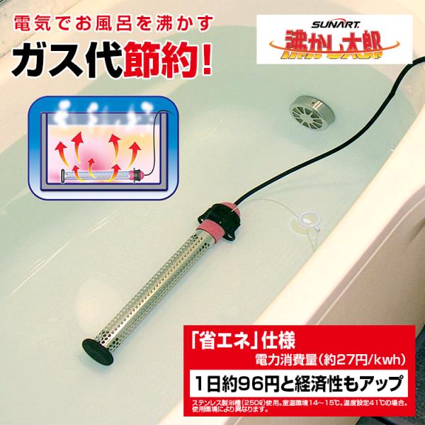 brain8_t10387-03 brain8_t10387-03
