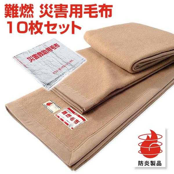 日本製 災害用パック毛布 10枚セット 約140×195cm 1.3kg 日本防炎協会認定 エコマーク認定 グリーン購入法適合 防災備蓄毛布 災害備蓄毛布