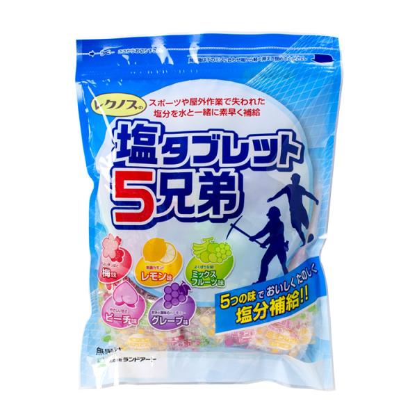 2026年製 【ランドアート レクノスの塩タブレット5兄弟（袋入タイプ 500g）】塩飴/熱中症/飴