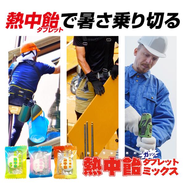 2026�N�� �M���Ǒ΍�O�b�Y ��֐H�i �Ɩ��p �M�����^�u���b�g �~�b�N�X ���� 620g 3��~�b�N�X/���������E�~���E�Ă݂��񖡁i�ܖ������F2027�N3�����܂Łj ���i�摜2