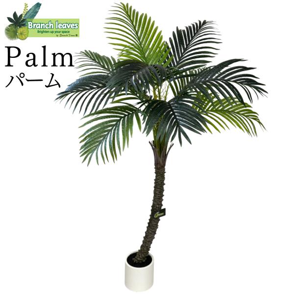 Branch leaves フェイクグリーン パーム palm 高さ160cm 横幅100cm