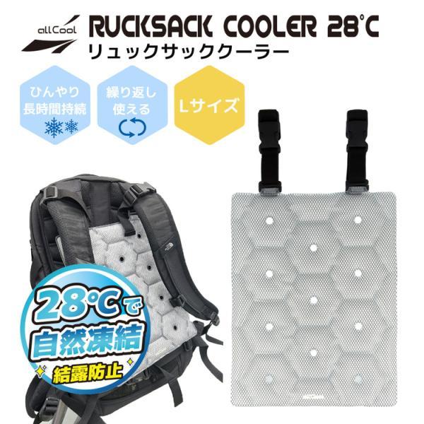 背中にフィット PCM ひんやり密着 リュック用 冷感パッド 自然凍結
