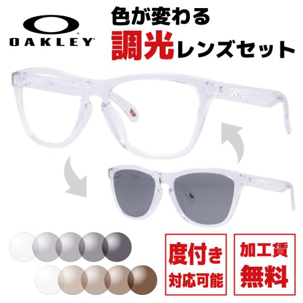 Oakley フロッグスキン　調光レンズサングラス　純正ストラップ付き Holbrook オークリー 調光サングラス フロッグスキン 国内正規品 度