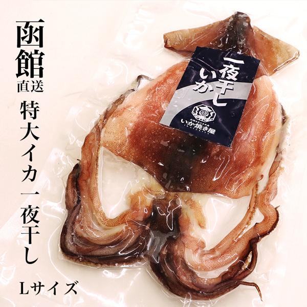いか一夜干し Lサイズ お試し1枚 L 1枚 函館直送 するめ スルメ するめいか スルメイカ 一夜干し イカ マルナマ 送料無料 Man0014 Online Shop Vivi 通販 Yahoo ショッピング