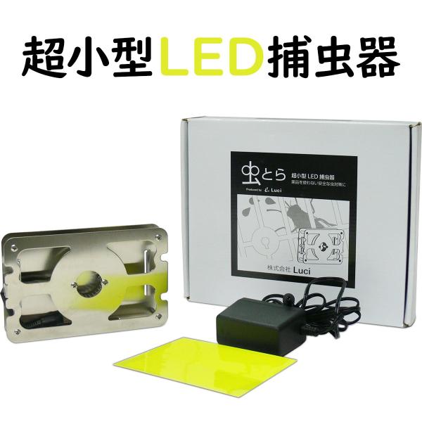 LED小型捕虫器 ルーチ・虫とらセット (虫とら本体、ACアダプター LED小型捕虫器 ルーチ・虫とらセット (虫とら本体、ACアダプター