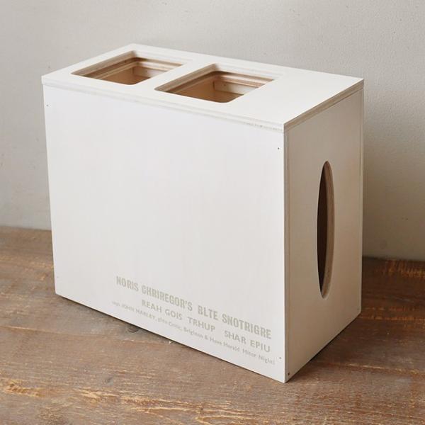 ごみ箱 おしゃれ ティッシュケース つき分別ダストボックス ホワイト