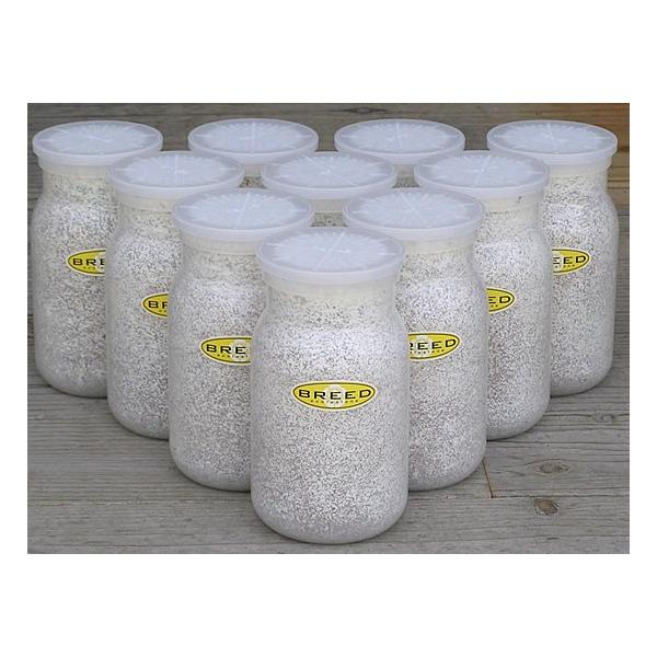 [Release date: March 13, 2020]長年さまざまなメーカーの菌糸ビン製造・販売に携わり、幾多の実証により解明された、オオクワガタやヒラタクワガタなどの、クワガタ幼虫飼育用菌糸ビンに必要で最適なファクター。それをもとに...