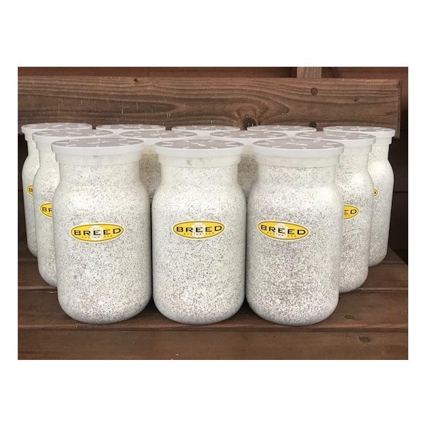 [Release date: March 13, 2020]長年さまざまなメーカーの菌糸ビン製造・販売に携わり、幾多の実証により解明された、オオクワガタやヒラタクワガタなどの、クワガタ幼虫飼育用菌糸ビンに必要で最適なファクター。それをもとに...