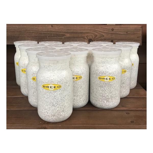 [Release date: March 13, 2020]長年さまざまなメーカーの菌糸ビン製造・販売に携わり、幾多の実証により解明された、オオクワガタやヒラタクワガタなどの、クワガタ幼虫飼育用菌糸ビンに必要で最適なファクター。それをもとに...