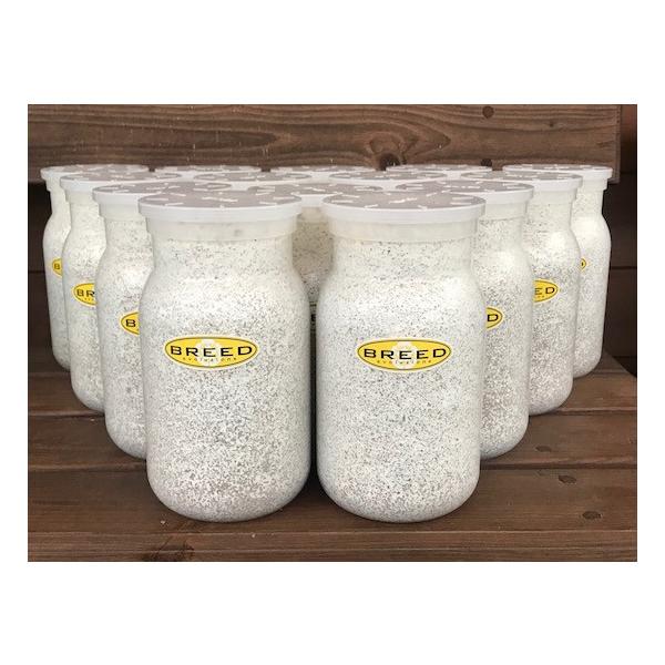 [Release date: March 13, 2020]長年さまざまなメーカーの菌糸ビン製造・販売に携わり、幾多の実証により解明された、オオクワガタやヒラタクワガタなどの、クワガタ幼虫飼育用菌糸ビンに必要で最適なファクター。それをもとに...