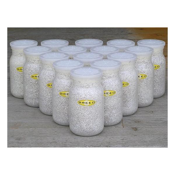 [Release date: March 13, 2020]長年さまざまなメーカーの菌糸ビン製造・販売に携わり、幾多の実証により解明された、オオクワガタやヒラタクワガタなどの、クワガタ幼虫飼育用菌糸ビンに必要で最適なファクター。それをもとに...