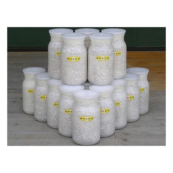 [Release date: March 13, 2020]長年さまざまなメーカーの菌糸ビン製造・販売に携わり、幾多の実証により解明された、オオクワガタやヒラタクワガタなどの、クワガタ幼虫飼育用菌糸ビンに必要で最適なファクター。それをもとに...