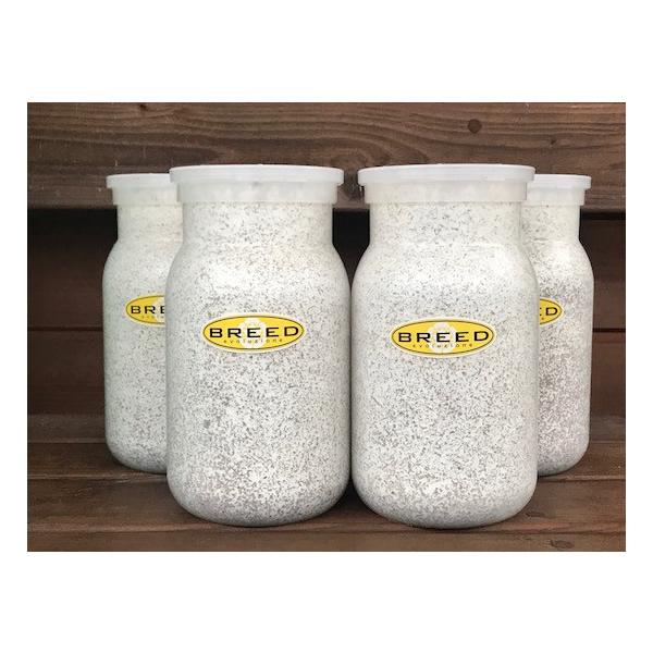 [Release date: March 13, 2020]長年さまざまなメーカーの菌糸ビン製造・販売に携わり、幾多の実証により解明された、オオクワガタやヒラタクワガタなどの、クワガタ幼虫飼育用菌糸ビンに必要で最適なファクター。それをもとに...