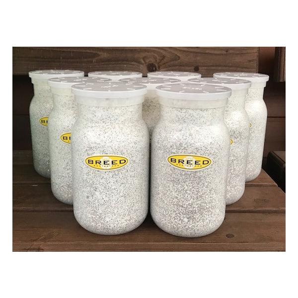 [Release date: March 13, 2020]長年さまざまなメーカーの菌糸ビン製造・販売に携わり、幾多の実証により解明された、オオクワガタやヒラタクワガタなどの、クワガタ幼虫飼育用菌糸ビンに必要で最適なファクター。それをもとに...