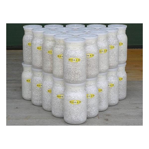 [Release date: July 1, 2020]長年さまざまなメーカーの菌糸ビン製造・販売に携わり、幾多の実証により解明された、オオクワガタやヒラタクワガタなどの、クワガタ幼虫飼育用菌糸ビンに必要で最適なファクター。それをもとに菌糸...