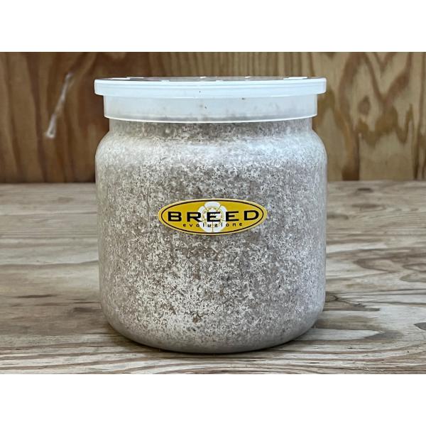 菌糸ビン 高品質 高性能 BREED 1500ml 1本 ブリード 菌糸瓶 菌床 菌糸ビン 高品質 高性能 BREED 1500ml 1本 ブリード 菌糸瓶 菌床