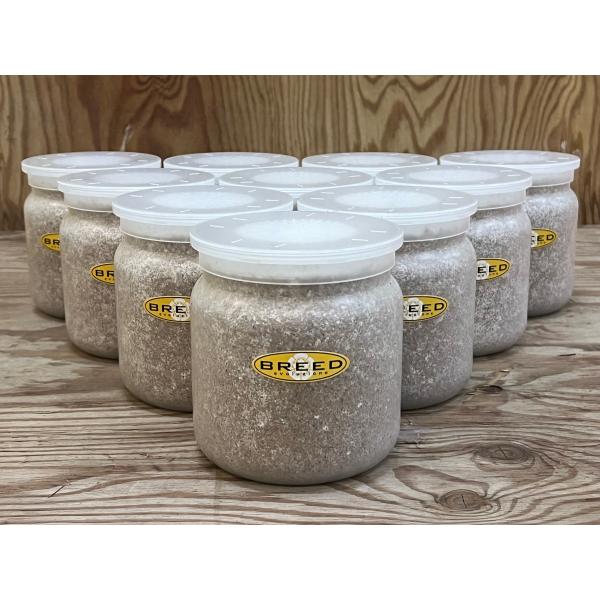 [Release date: March 13, 2020]長年さまざまなメーカーの菌糸ビン製造・販売に携わり、幾多の実証により解明された、オオクワガタやヒラタクワガタなどの、クワガタ幼虫飼育用菌糸ビンに必要で最適なファクター。それをもとに...