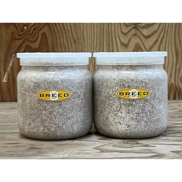 [Release date: March 13, 2020]長年さまざまなメーカーの菌糸ビン製造・販売に携わり、幾多の実証により解明された、オオクワガタやヒラタクワガタなどの、クワガタ幼虫飼育用菌糸ビンに必要で最適なファクター。それをもとに...