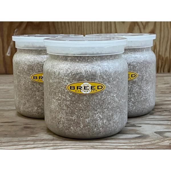 菌糸ビン 高品質 高性能 BREED 1500ml 3本セット ブリード 菌糸 菌糸ビン 高品質 高性能 BREED 1500ml 3本セット ブリード 菌糸