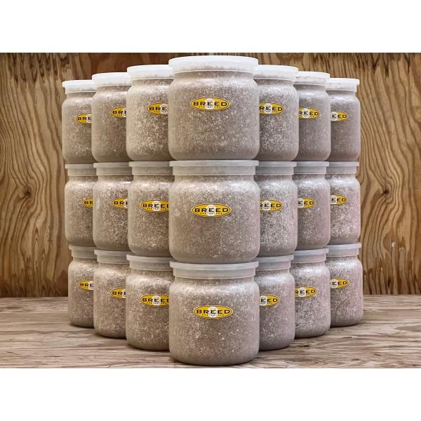 [Release date: March 13, 2020]長年さまざまなメーカーの菌糸ビン製造・販売に携わり、幾多の実証により解明された、オオクワガタやヒラタクワガタなどの、クワガタ幼虫飼育用菌糸ビンに必要で最適なファクター。それをもとに...