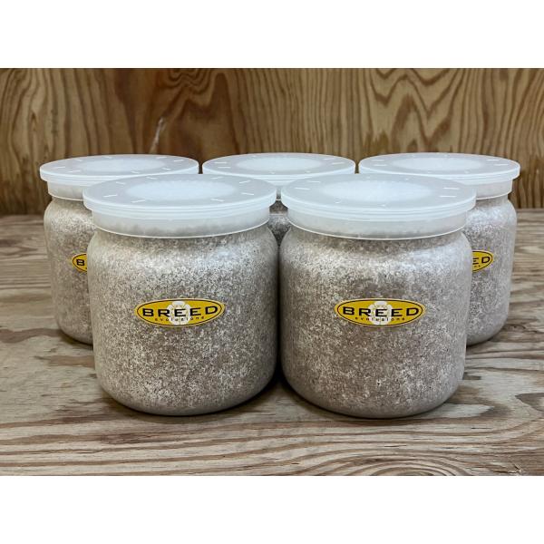 [Release date: March 13, 2020]長年さまざまなメーカーの菌糸ビン製造・販売に携わり、幾多の実証により解明された、オオクワガタやヒラタクワガタなどの、クワガタ幼虫飼育用菌糸ビンに必要で最適なファクター。それをもとに...