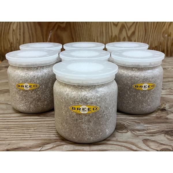 [Release date: March 13, 2020]長年さまざまなメーカーの菌糸ビン製造・販売に携わり、幾多の実証により解明された、オオクワガタやヒラタクワガタなどの、クワガタ幼虫飼育用菌糸ビンに必要で最適なファクター。それをもとに...