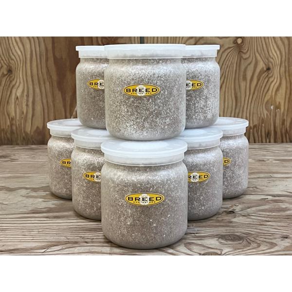 [Release date: March 13, 2020]長年さまざまなメーカーの菌糸ビン製造・販売に携わり、幾多の実証により解明された、オオクワガタやヒラタクワガタなどの、クワガタ幼虫飼育用菌糸ビンに必要で最適なファクター。それをもとに...