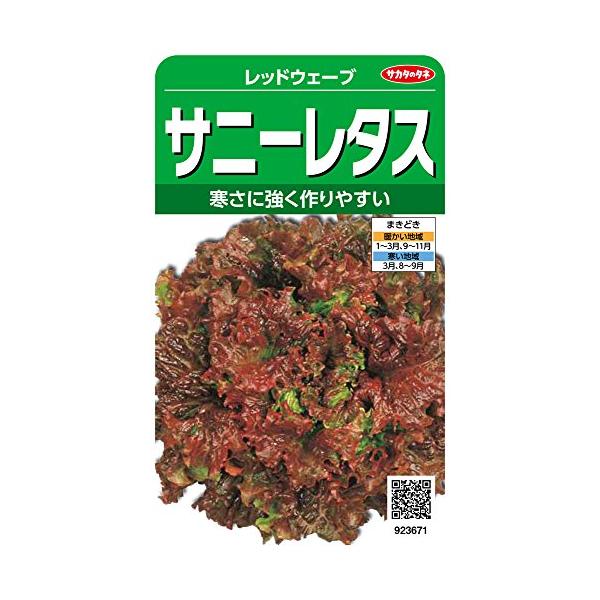 サカタのタネ 実咲野菜3671 サニーレタス レッドウェーブ