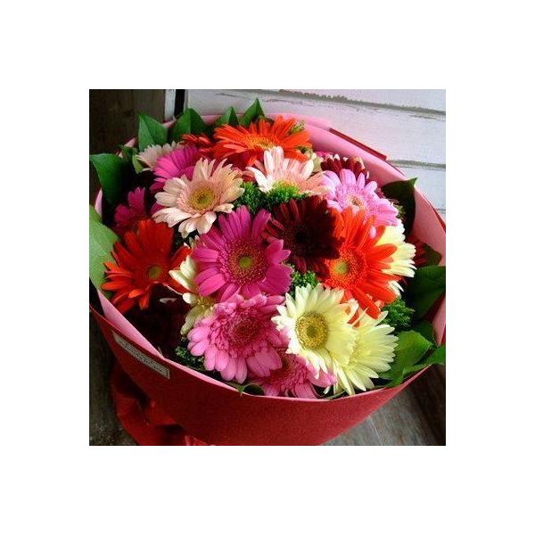 ■ラウンドブーケ-ガーベラ■◆商品サイズ：直径×高さ　約23cm×30cm *生花のためサイズはあくまでも目安になります。◆花材：ガーベラ・グリーン *写真はあくまでもイメージです。  季節・仕入れ状況によって使用する花材は変わりますが,そ...