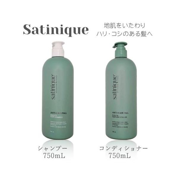 Amway アムウェイ サテニーク エクストラ シャンプー