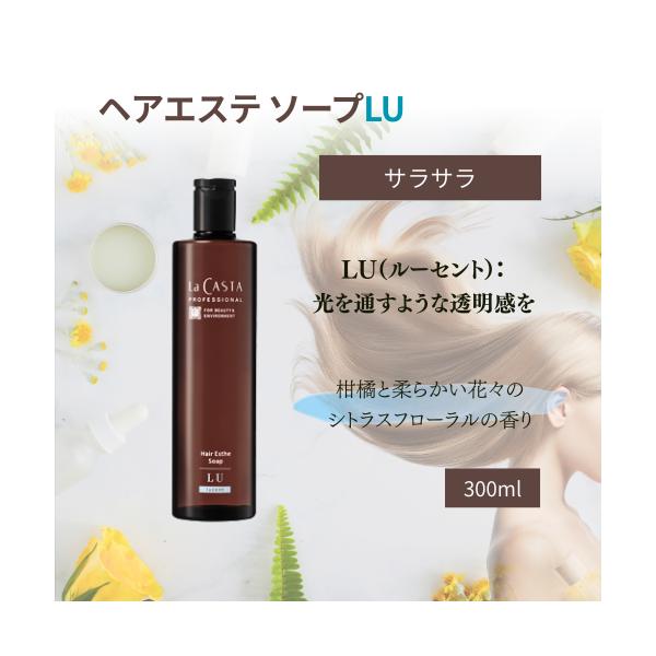 La CASTA（ラ・カスタ） プロフェッショナル ヘアエステ ソープLU